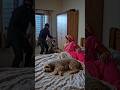 पकड़ो पकड़ो चोर🤣🤣#viral #funny #comedy #love #lifeisbutadream #cutecat # anita devi👍✅️