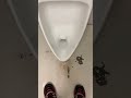 Tellus museum men’s restroom 1/4