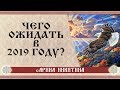 Чего ждать в 2019 году | Прогноз на 2019 год | Арина Никитина