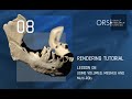 Rendering & Movie Making with Dragonfly #8 Volume, meshes and multiROIs