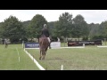 Morswood  gatcombe