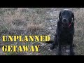 You Won't Believe What We Saw on Our Walk!