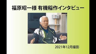 有機稲作に適した｢みのるポット成苗田植えシステム｣ | みのる産業株式