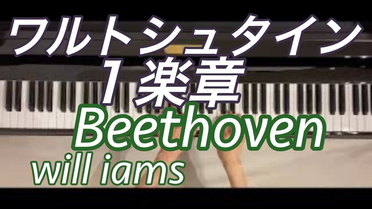 サミュイル・フェインベルク　 ベートーヴェン　　 ピアノソナタ4·11·30番 サミュイル・フェインベルク ベートーヴェン ピアノソナタ4·11