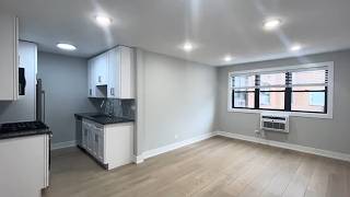 530 W Aldine #508  |  Newly Rehabbed Studio in East Lakeview