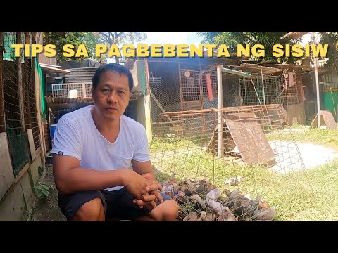 PARA MABILIS MAKABENTA | Boss Noli Vlog - YouTube