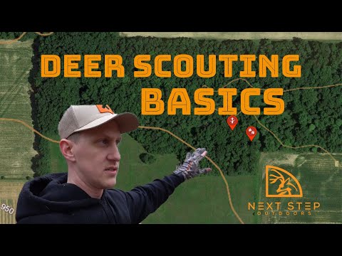 How to Scout a New Hunting Property - Deer Scouting Tips