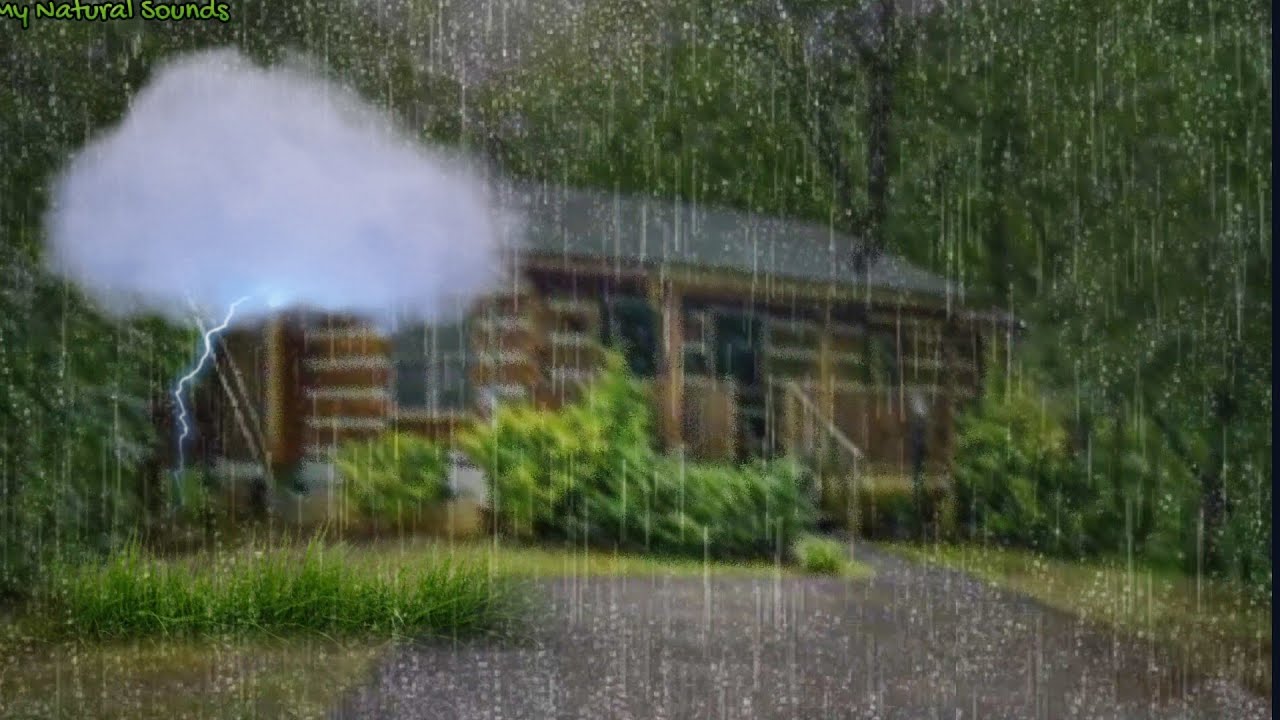 🔴GENTLE RAIN with DISTANT THUNDER Sounds around The Forest Cabin ,White ...