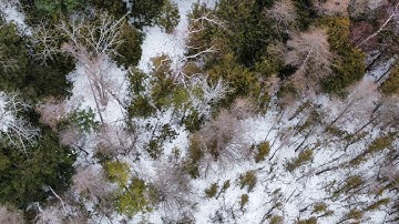 Tomries:- synthstrom deluge - elektron analog four - drumbrute impact - : live session