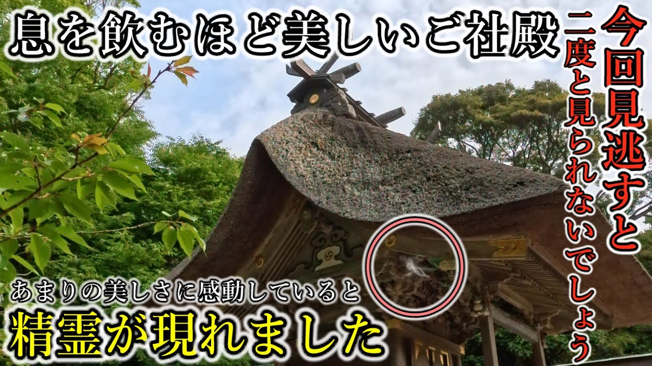 ⚠️人々を救うため日本の神々が突如現れた精霊の姿とは！【茨城県大洗町 大洗磯前神社】