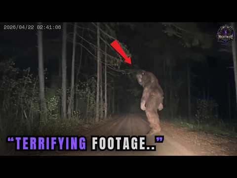 38 NEW Bigfoot Sightings That Are Impossible to Explain On Camera | Scary Comp. V557