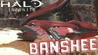 Halo Infinite Banshee Breakdown