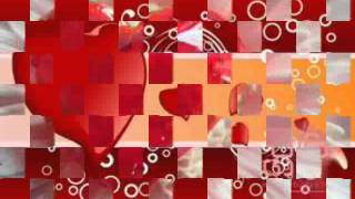 صلاح حسن صار هواي  2014