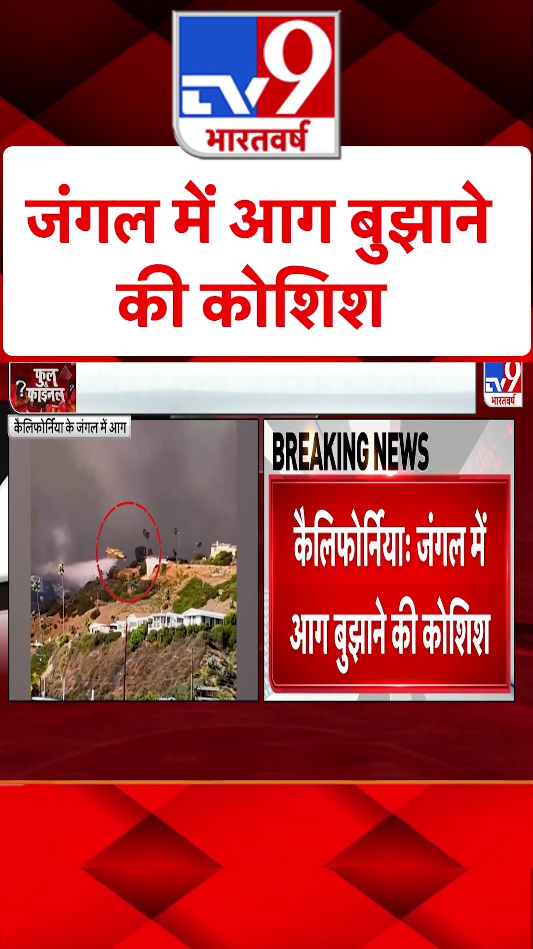 जंगल में आग बुझाने की कोशिश#tv9shorts | California Wildfires | America