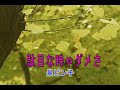(カラオケ)駄目な時ゃダメさ / 泉ピン子