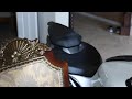 End of video