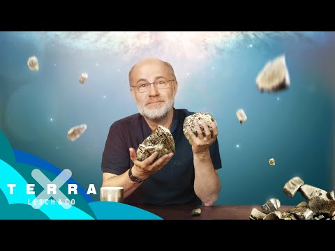 Woher stammt das Gold auf der Erde? | Harald Lesch