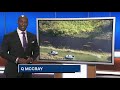Alligator tears off life jacket, attacks kayaker in Florida state park