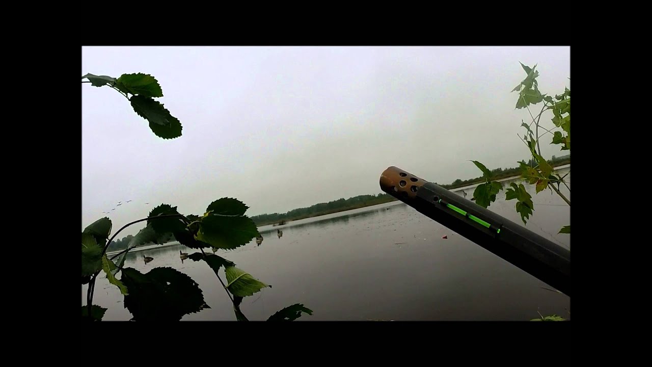 Early season goose Minnesota 4 Geese in 3 shots? YouTube