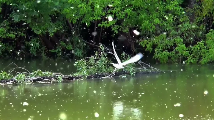 Mufti Menk | Dealing with Loss and Grief - Widows Support |