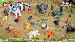 African Elephant, Tiger, Lion, Zebra, Rhino, Hippo & Wild Zoo Animals Muddy Adventure Live!