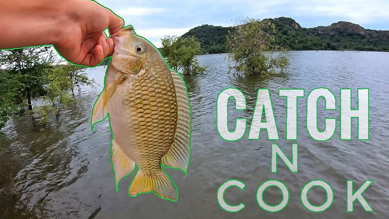 Tilapia(Bream/Kurper) fishing with artificial lures! And CATCH N COOK YouTube
