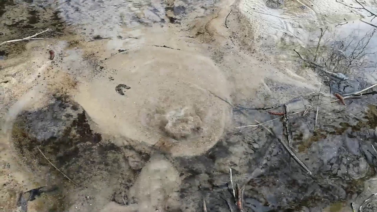 Родник в небе радуги свет скачать