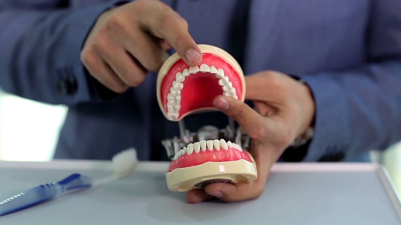 الطريقه الصحيحه لتفريش الاسنان - د. سلمان سالم صرخوه