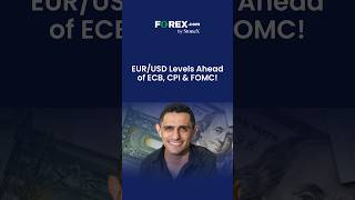 Euro Price Alert: EUR/USD Levels Ahead of ECB, CPI & FOMC!!