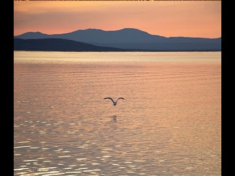 PENSER A TOI PENSAR EN TI 