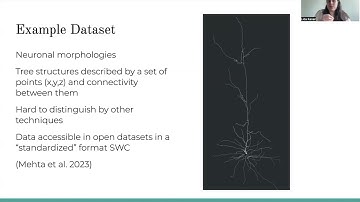 Topological Morphology Descriptor of neuronal morphologies [Lida Kanari]