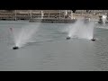 43rd & 44th Race Saturday Lake havasu 2025