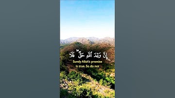 تلاوة خاشعة بصوت يريح الأعصاب قرأن كريم راحة نفسية #اكسبلور #تلاوة #قران_كريم #elmulquranعلم