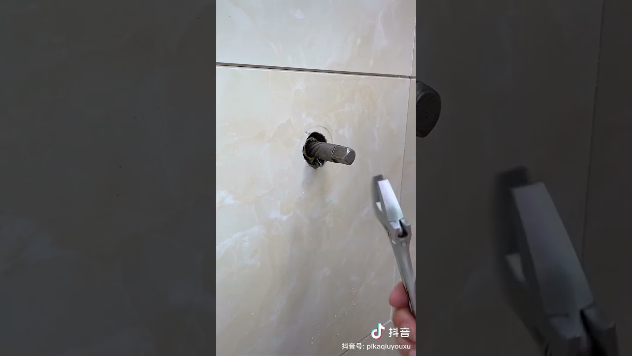 육각 생크 헤드 니플 밸브나사 추출기