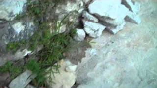 Janes Crete 2010 - Old Ladies Of Vrahi