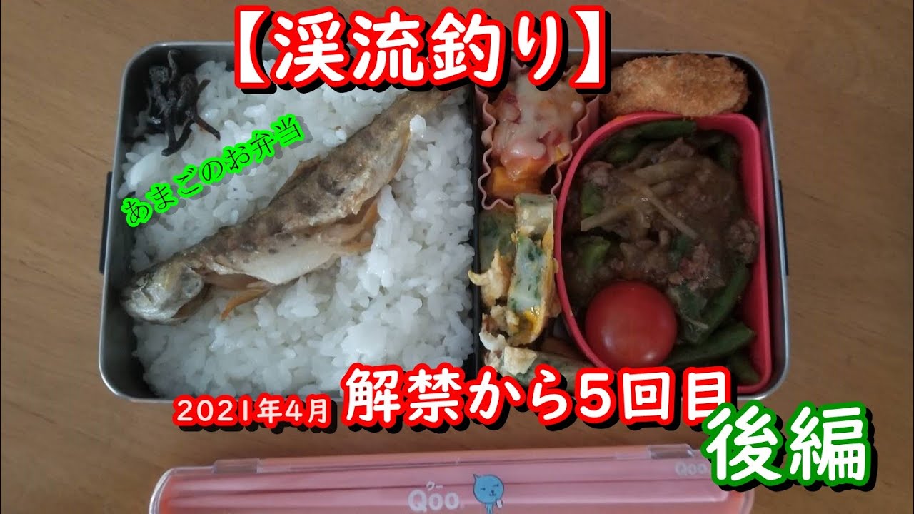 渓流釣り 解禁から5回目 後編 あまご 山女魚 Mountain Stream Fishing エサ釣り Youtube