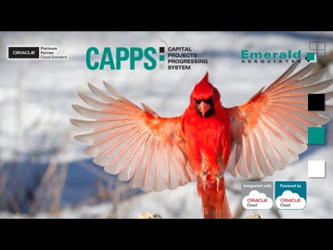 2020-12-08 - CAPPS Webinar