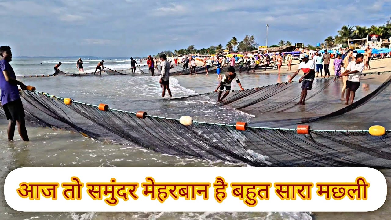 आज तो समुंदर मेहरबान है बहुत सारा मछ्ली|net fishing 😱#fishing #fisherman #fish#outdoors #fishinglife