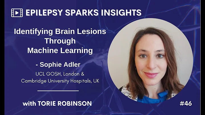 Identifying Brain Lesions Through Machine Learning...
