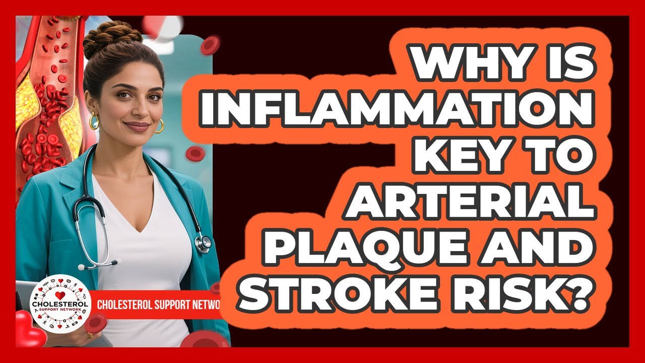 Why Is Inflammation Key To Arterial Plaque And Stroke Risk? - Cholesterol Support Network