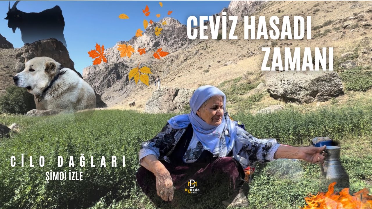 Cilo Dağları’nda Sonbaharın Büyüsü | ByBedo Documentary