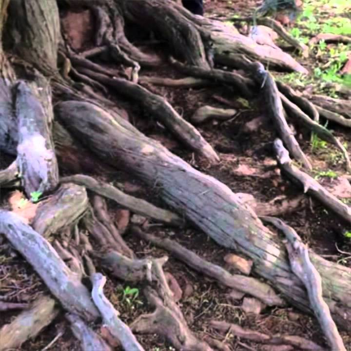 Sivas İmranlı Kızılmezra Köyü