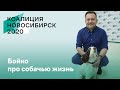 Бойко про собачью жизнь