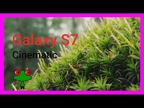 Samsung Galaxy S7 Cinematic - The Forest
