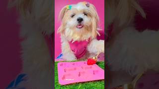 Sugar Candy #shorts#tiktok #cooking hacks #dog #mangolhasa