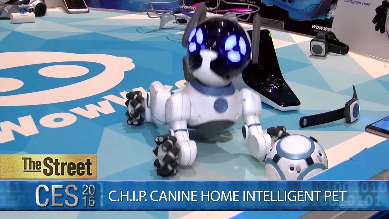 C.H.I.P: Canine Home Intelligent Pet at CES 2016 C.H.I.P: Canine Home Intelligent Pet at CES 2016