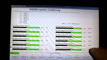 DIY BMW N54 Injector Coding via INPA