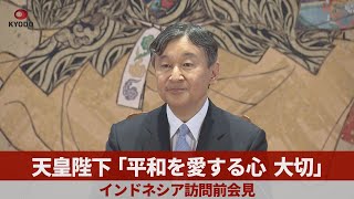 天皇陛下「平和を愛する心大切」 インドネシア訪問前会見