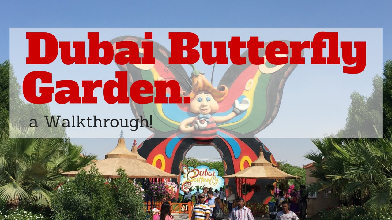 Butterfly Garden Dubai A walkthrough! YouTube
