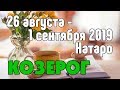 КОЗЕРОГ - таро прогноз 26 августа - 1 сентября 2019 года НАТАРО.